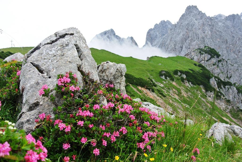 Pension Bergpracht Ramsau am Dachstein Exterior foto